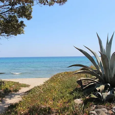 Hébergement de vacances Maison Bord De Mer, Mare Blu, Prunete *
